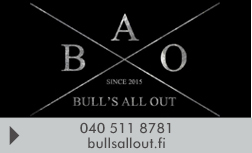 Bull's Consulting Oy logo